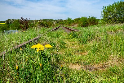 _DSC0564