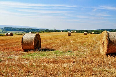 _DSC3698