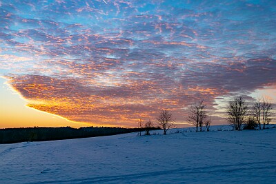 _DSC1644